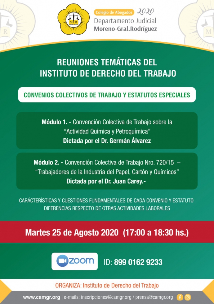 REUNIONES TEMATICAS